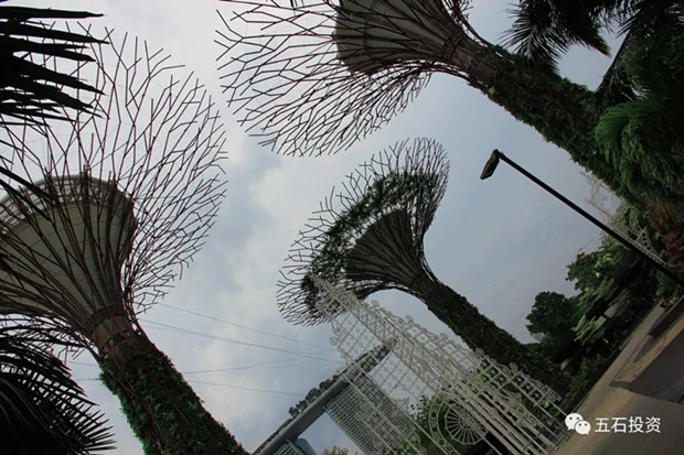 1575425681829351.jpg 微信图片_20191204091107_副本.jpg